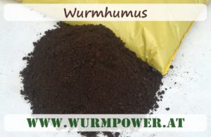 Wurmhumus, Wurmdünger