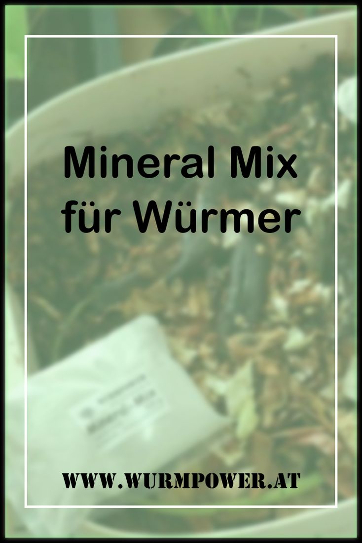 Mineral Mix für Würmer
