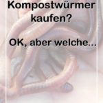 Kompostwürmer kaufen