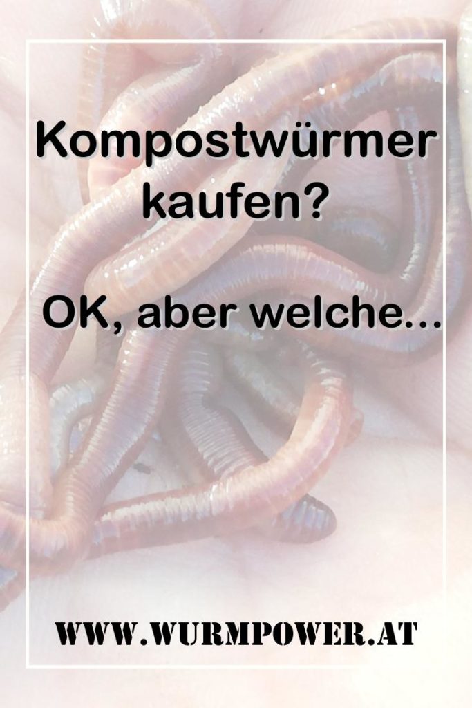 Kompostwürmer kaufen