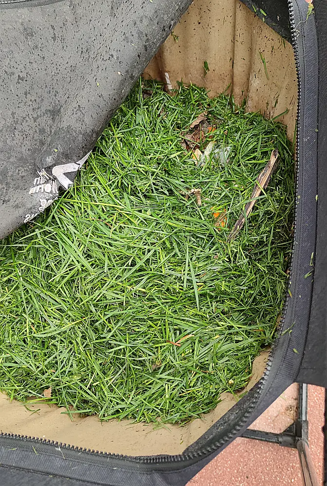 Wormbag mit Wurmpower Kompostwürmer, Rasen kompostieren